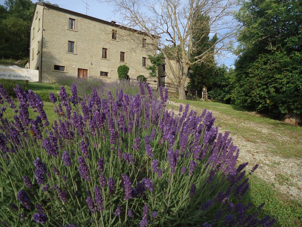 Agriturismo I Monti Di Salecchio Palazzuolo Sul Senio Exterior photo