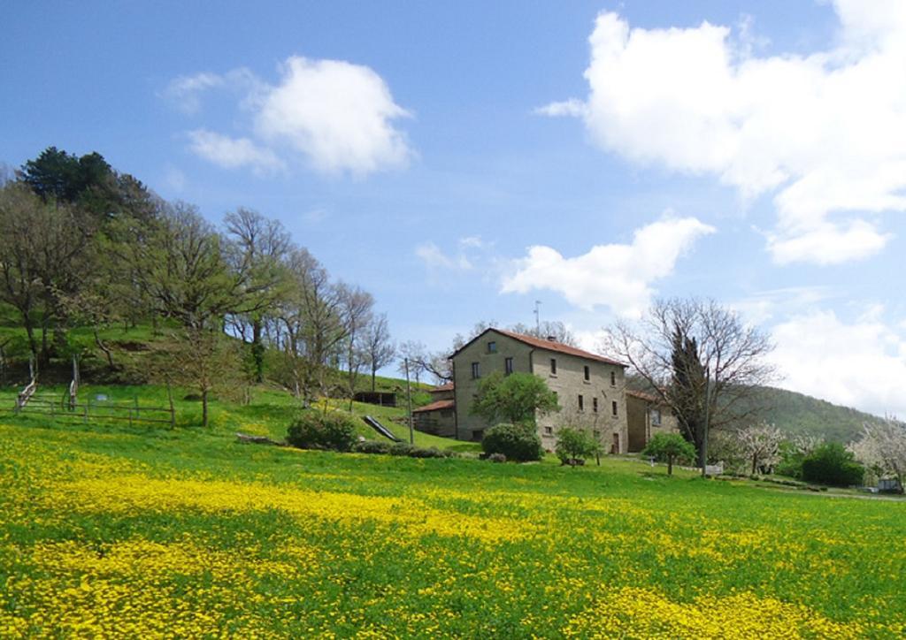 Agriturismo I Monti Di Salecchio Palazzuolo Sul Senio Exterior photo